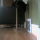Image for article titled Uncle Milton Pet's Eye View Camera Lightning Review